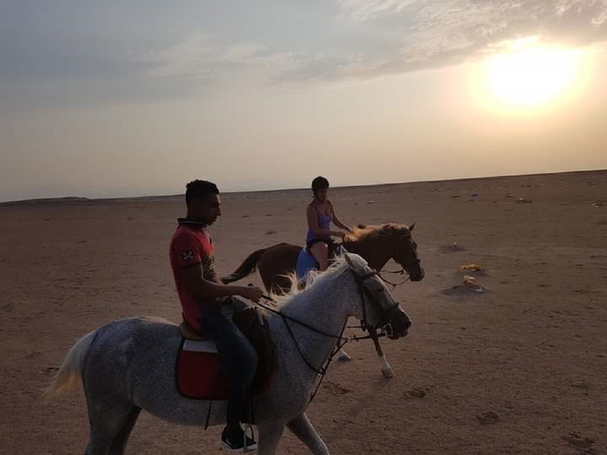 Horse Riding (2 hrs)