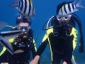 Introduction to Diving